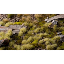 Light Green (4mm) - Wild